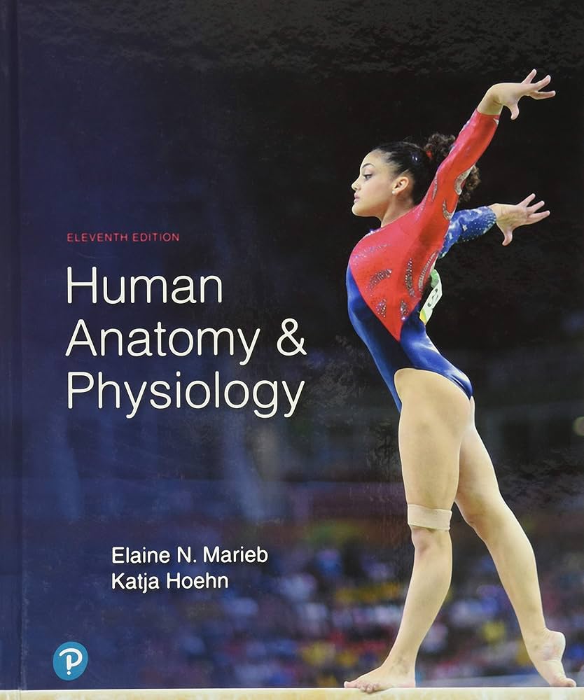 Human Anatomy & Physiology 11th Edition ISBN: 978-0134580999